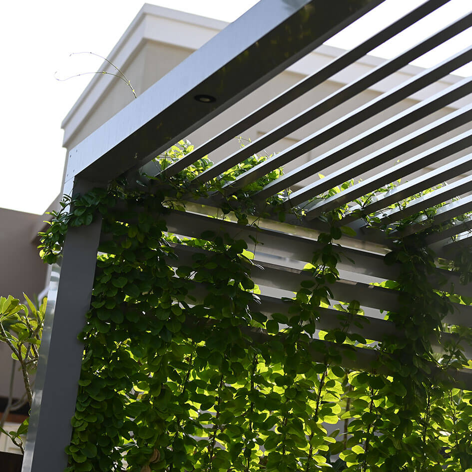 safetyscreens-pergolas-7